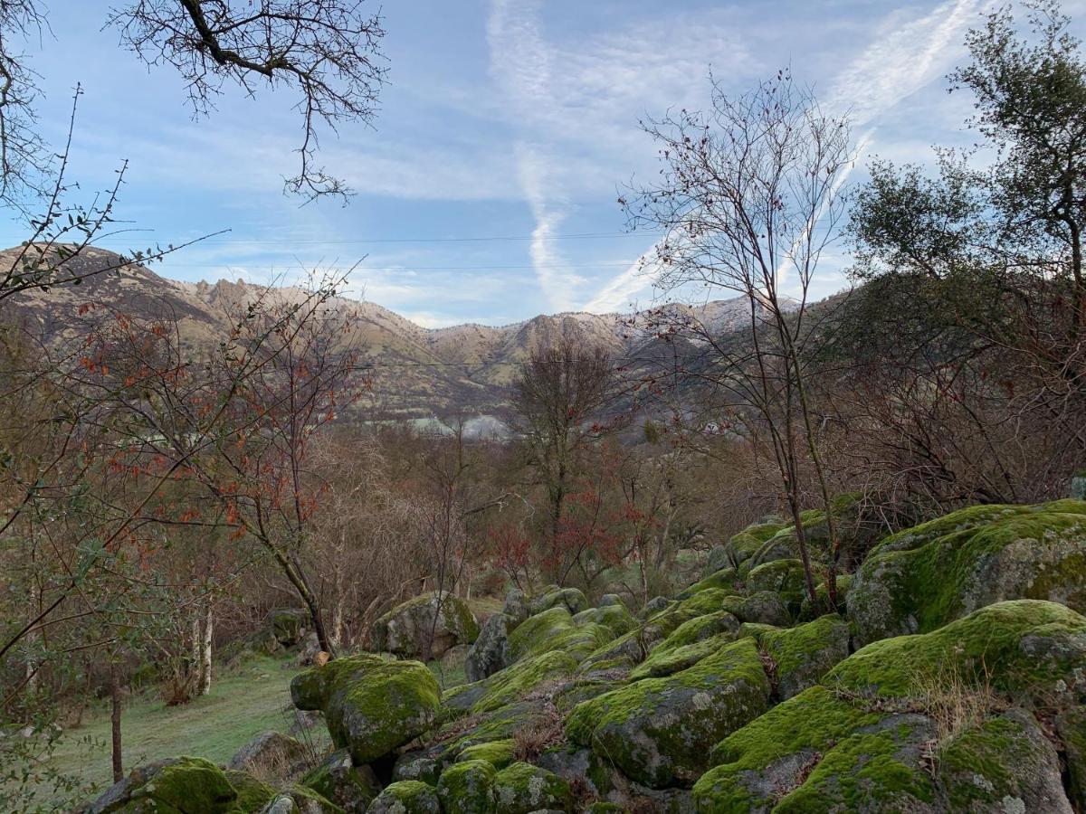 The Sequoia Hut! Βίλα Three Rivers Εξωτερικό φωτογραφία